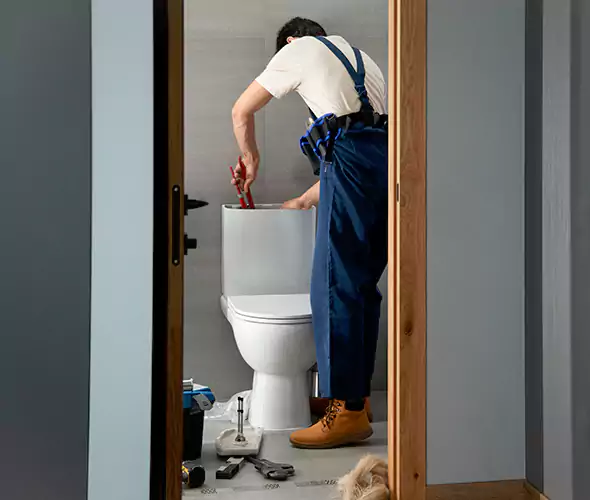 Professional Plumbers for Toilet Bowl Replacement in Rocky Point, NY: Schedule Affordable Toilet Replacement Services With Us