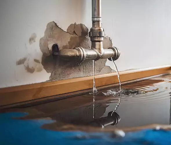 Professional Water Damage Restoration Experts in Rocky Point, NY — Fast, Reliable & Certified