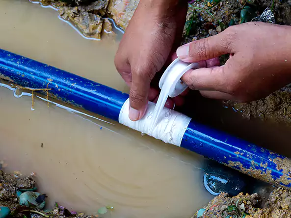  Why Choose Rocky Point Plumbing for Leak Detection in Rocky Point, NY?]