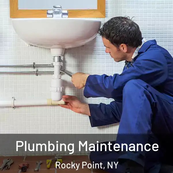  Plumbing Maintenance Rocky Point, NY