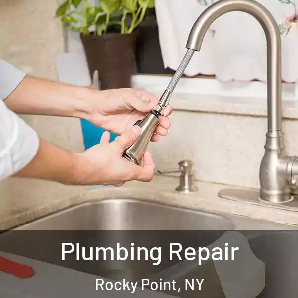  Plumbing Repair Rocky Point, NY