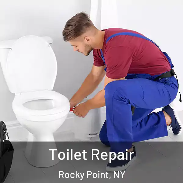  Toilet Repair Rocky Point, NY