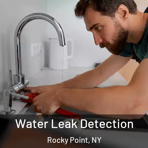  Water Leak Detection Rocky Point, NY