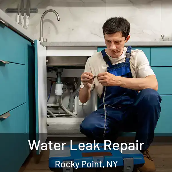  Water Leak Repair Rocky Point, NY